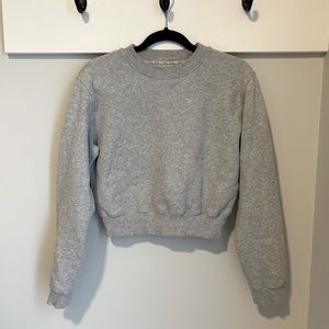 Aritzia TNA Cozy Fleece Perfect Cropped Crewneck